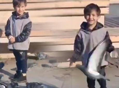 Güvercinleri Besleyen Küçük Çocuğun Acı Dönüşü: Baba Olayı Anlattı