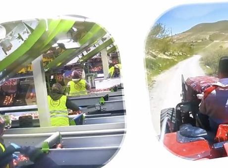 2026 Yılı IPARD III Çağrı Takvimi Resmen Açıklandı