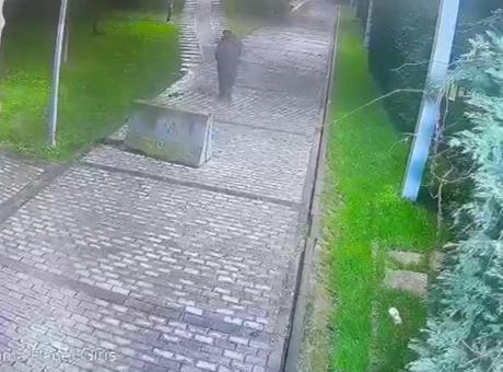 İstanbul'da Parkta Cep Telefonu Hırsızlığı: Şüpheli Kamera Kaydına Yakalındı