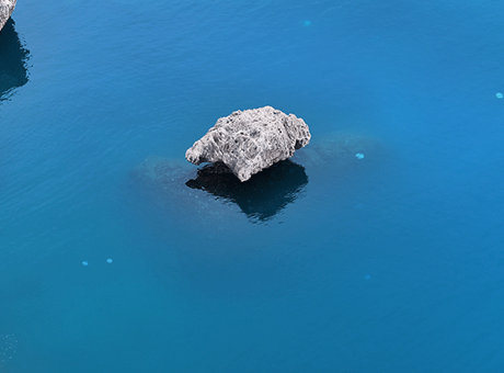 Antalya Kıyılarında Denizanaları Tehlikesi: Uzmanlardan Uyarı Geldi