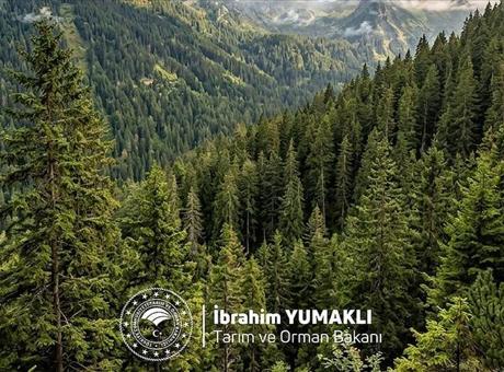 Bakan Yumaklı'dan Dünya Ormancılık Günü Kutlaması