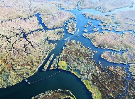 Muğla'daki Dalyan Kanalı: Doğanın Eşsiz Labirenti ve Ekosistemin Gizemi