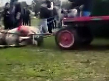 Adana'da Koşmayan Atlara İşkence Eden İki Kişiye Ceza Kesildi