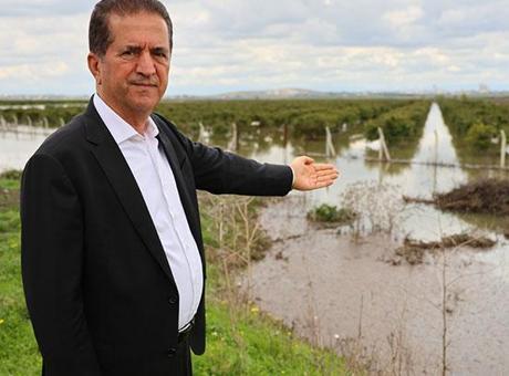 Adana'da 3 Günlük Yağmur, Tarımda Felakete Neden Oldu