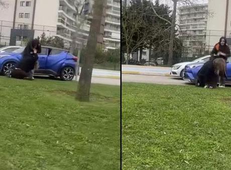 Pendik'te 'Ejderha Kadınlar' Kavgası, Sosyal Medyada Gündem Oldu