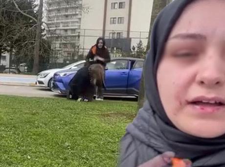 Kurtköy'de Trafik Kavgası: 'Ejderha Kadınlar'a Yerel Yönetimden Ciddi Ceza