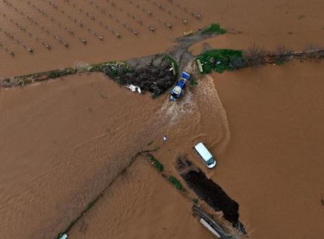Gediz Nehri Taştı: Turgutlu'daki Tarım Arazileri ve Bahçeler Sular Altında Kaldı