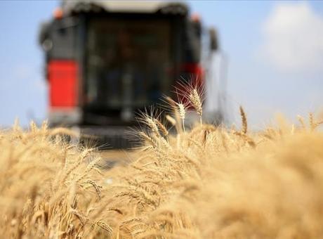 Orta Doğu Gerilimi Tarım Emtia Fiyatlarını Yükseltiyor