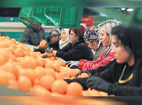 Kadınların İhracattaki Payı Yüzde 23.5'e Ulaştı