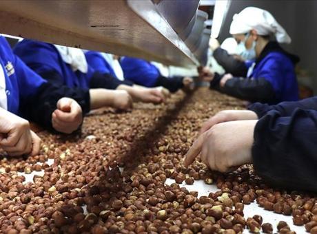 Giresun, Kadın Çalışanların İhracattaki En Yüksek Katkısını Sağladı