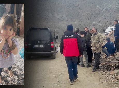 Bitlis'te 5 Yaşındaki Rabia İçin Seferberlik: Arama Çalışmaları Devam Ediyor