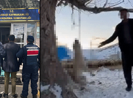 Kayseri'de Skandal Olay: Köpeğini Ağaca Asarak Öldüren Şahıs Tutuklandı