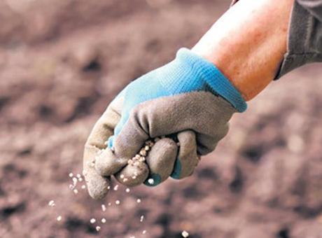 Gübre Krizine Karşı Yeni Önlemler Alındı