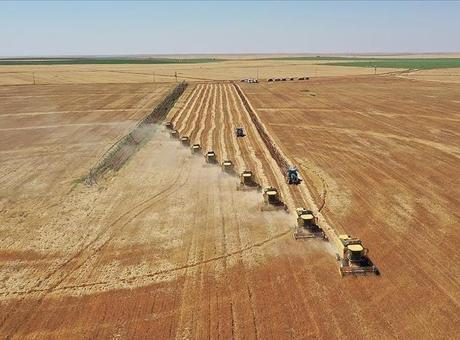 Yeni Arazi Kullanım Planları ile Toprağın Korunmasına Yönelik Adımlar Atılıyor