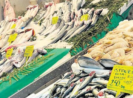 Gürpınar Su Ürünleri Hali'nde Mart Ayı Bereketi: Hamsi Fiyatları Düşerken Lüfer Rekor Kırıyor