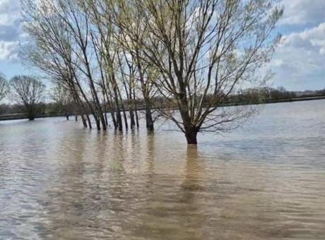 Edirne'de Şiddetli Yağışlar Sonrası Meriç Nehri Taştı