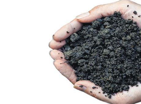 Gübre İthalatında Yeni Arayışlar: Hürmüz Boğazı'nın Etkisi