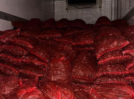 Bursa ve Balıkesir'de 10 Ton Kaçak Midye Operasyonu: Sofralara Ulaşmadan Ele Geçirildi