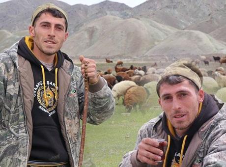 Saksağan Kuşundan İlham Alan Çoban, Drone İle Sürüsünü Yönetiyor