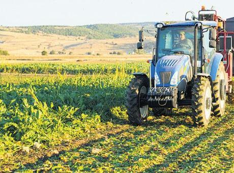 Ticaret Bakanlığı'ndan Çiftçilere Zayiat Kesintisi Uyarısı