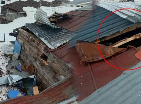 Gümüşhane'deki Yayla Halkı Ayı Tehdidiyle Karşı Karşıya
