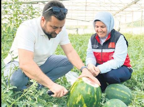 Sezonun İlk Karpuzları Tezgahlarda Yerini Aldı