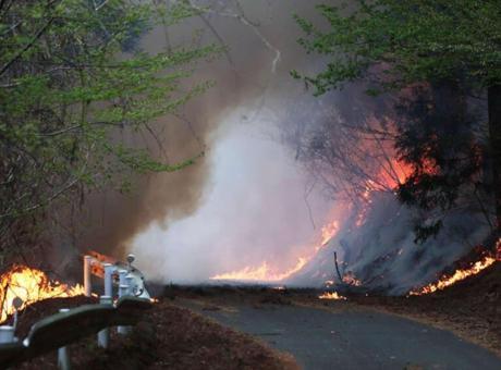 Japonya'yı Saran Orman Yangınları: 6 Günlük Mücadele ve Askeri Destek