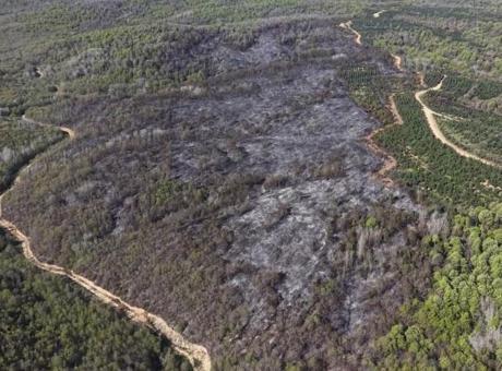 Beykoz'daki Yangın: 9 Saatlik Mücadelenin Ardından Ekipler Zorlu Durumla Karşı Karşıya