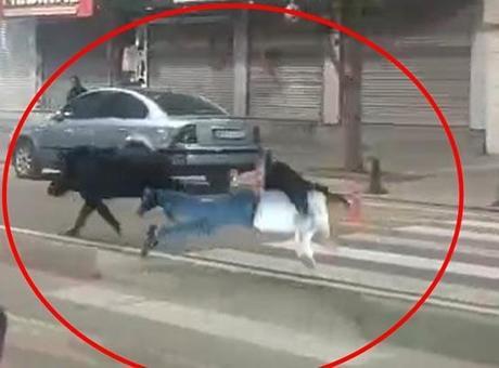 Şehir Merkezinde Yaban Domuzu Korkuttu: 3 Yaralı