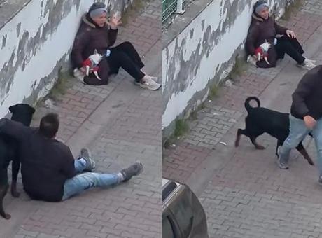 Ağızlıksız Gezdirilen Rottweiler, Küçük Köpeğe Saldırdı: 1 Gözaltı