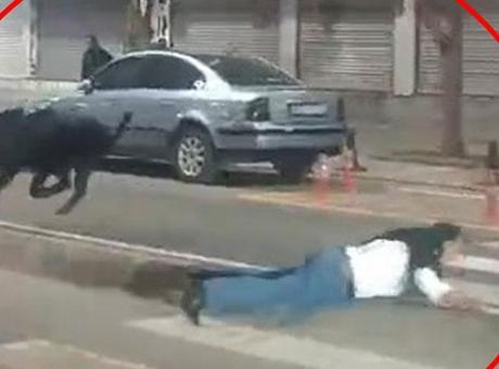 Kent Merkezinde Yaban Domuzu Saldırısı: 3 Yaralı, Valilikten Açıklama Geldi