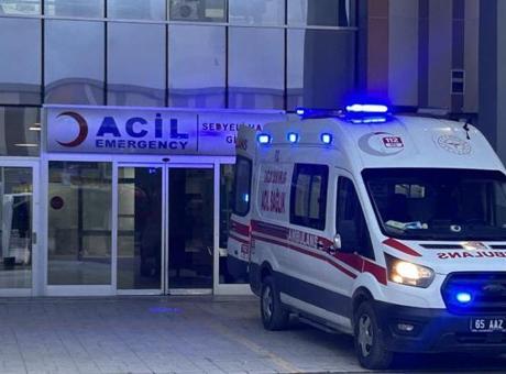 Van Saray'da Sahipsiz Köpeklerin Saldırısı: 5 Yaşındaki Çocuk Hayatını Kaybetti