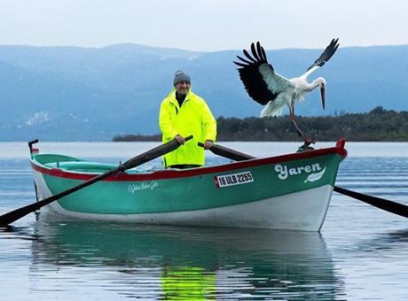 Bursa'nın Yaren Leyleği, Yavrularını Yumurtadan Çıkardı: Dostluk Hikayesinin Devamı