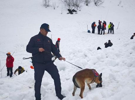 Çığ Altında Kalan Çoban İçin Yeniden Arama Çalışmaları Başladı