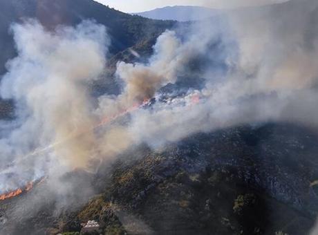 Muğla Marmaris'te Orman Yangını Paniği: Ekipler Hızla Seferber Oldu