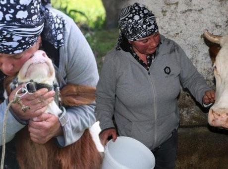Gürcü Gelin Nino Eroğlu Türkiye'de Hayalini Gerçekleştiriyor: Türkçeyi Öğrenip Hayvancılığa Adım Attı
