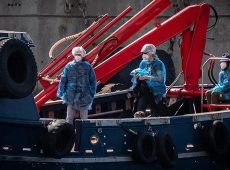 Hantavirüs Krizi: MV Hondius Gemisinde Yüzlerce Yolcu Tahliye Edildi