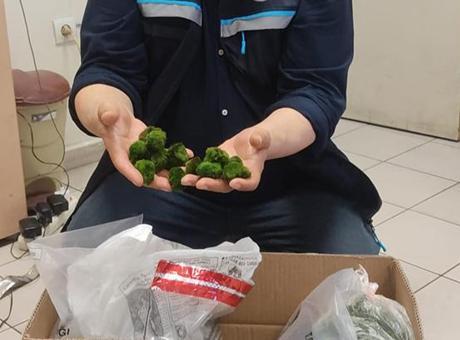 Kapıkule Sınır Kapısı’nda Canlı Yeşil Alg Kaçakçılığı Operasyonu