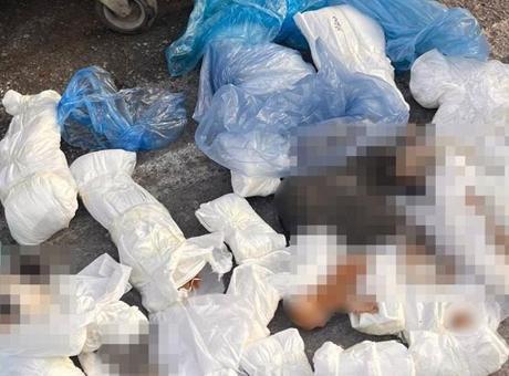 İzmir'deki 33 Ölü Kedi Vakası: Veterinere Yeniden Gözaltı Kararı