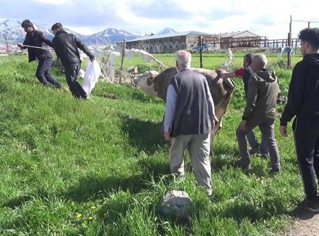 Kurban Kesiminde Kalp Krizi Faciası: İki Kişi Hayatını Kaybetti