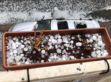 Meteoroloji’den Uyarı: Ardahan ve Ağrı'da Sağanak ve Dolu Etkili Oldu