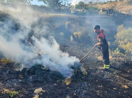 Siirt'te Fıstık Bahçesini Saran Yangın, Zararın Büyümesine Neden Oldu