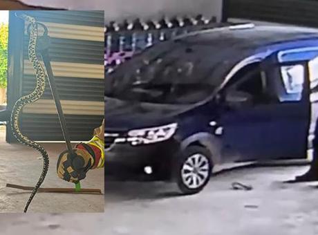 Hatay'da Panik Anları: Hafif Ticari Aracın İçinde Yılan Bulundu