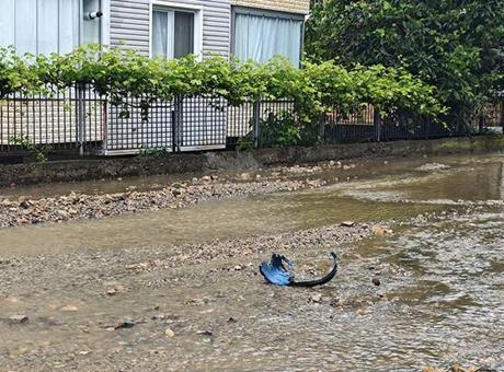 Ordu'da Sağanak Yağış Hayatı OLumsuz Etkiledi: Sokaklar Göle Döndü