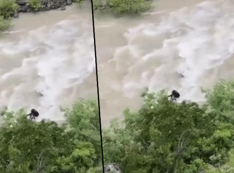 Baba ve Oğul Çoruh Nehri'ne Düşen Araçta Aranıyor