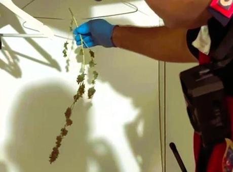 Denizli Barosu'na Uyuşturucu Operasyonu: Başsavcılık'tan Gözaltılar