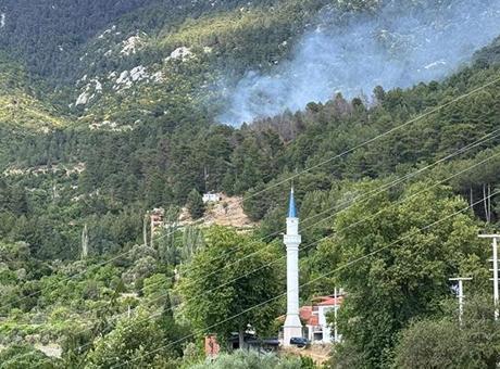 Antalya Kaş'ta Orman Yangını: Hızla Müdahale Ediliyor