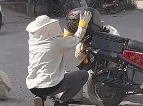 İnegöl'de Motosiklet Üzerine Yerleşen Arıların İstilasına Şahit Olundu