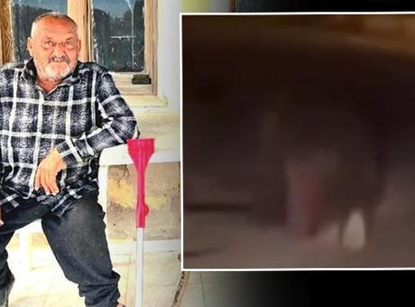 İzmir'de Ayı Saldırısı: Balkondan Sürüklenen Yaşlı Adam Hayatını Kaybetti