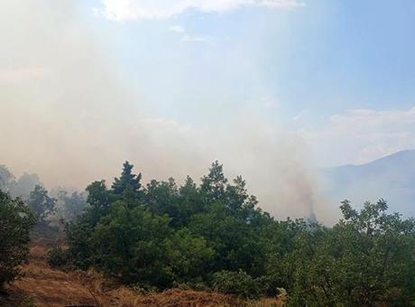 Malatya'da Orman Yangını: Müdahale Devam Ediyor